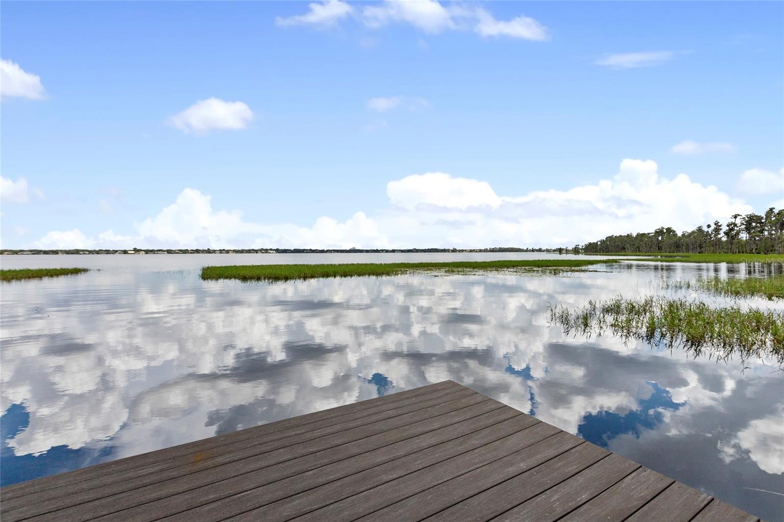 Image 64 of 76 For 6149 Grosvenor Shore Dr