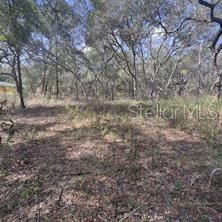 Details for 7377 Knoxville Drive, WEBSTER, FL 33597