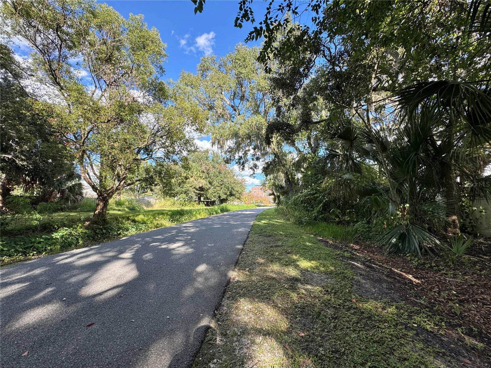 Image 11 of 12 For 557 Plant Street