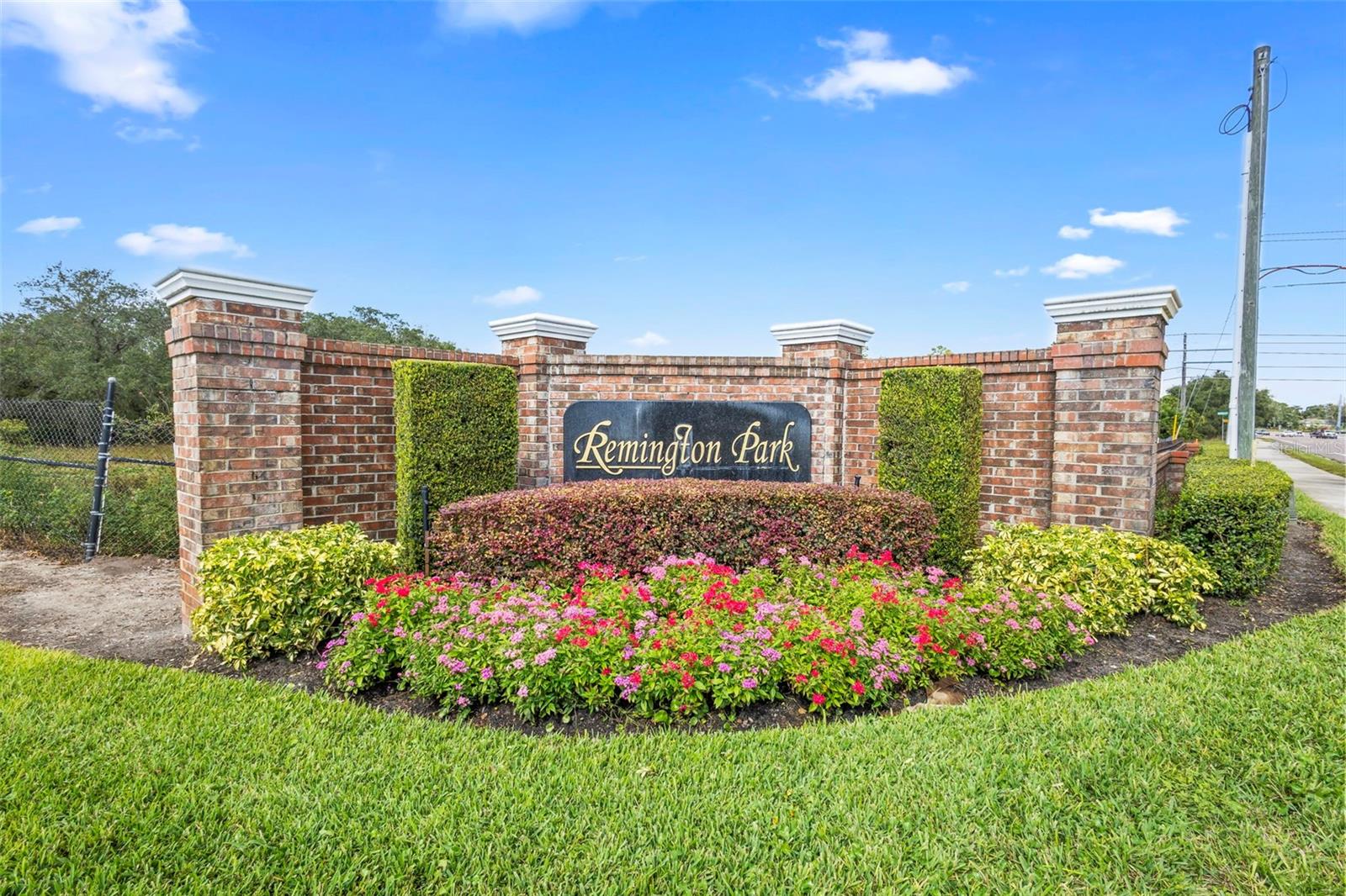 Image 4 of 66 For 303 Remington Drive