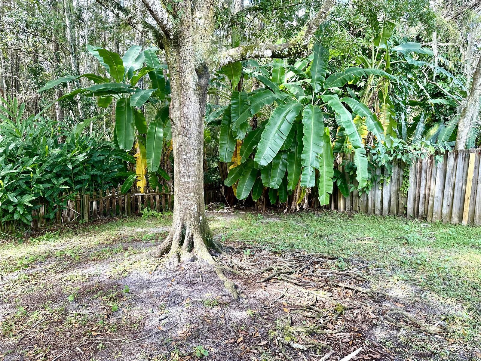 Image 39 of 49 For 3034 Senna Court