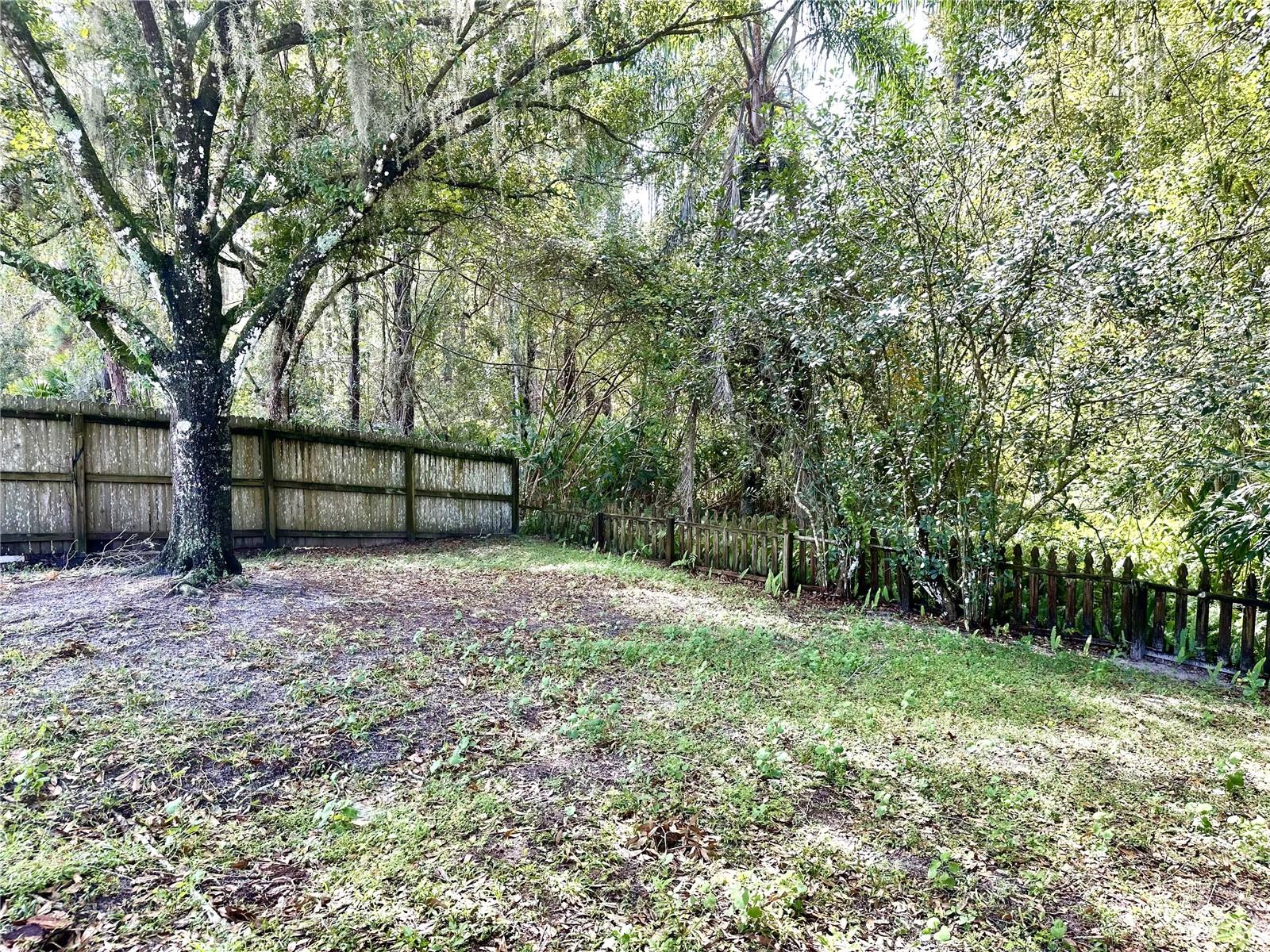 Image 41 of 49 For 3034 Senna Court