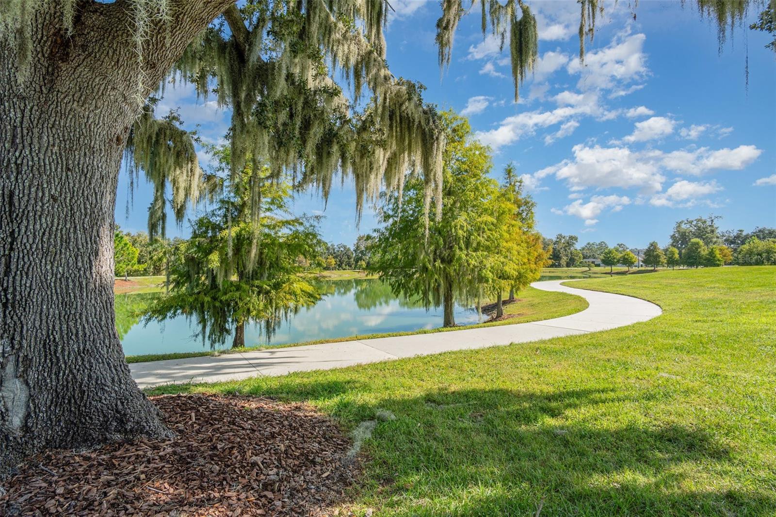 Image 29 of 39 For 310 Wooded Vine Drive