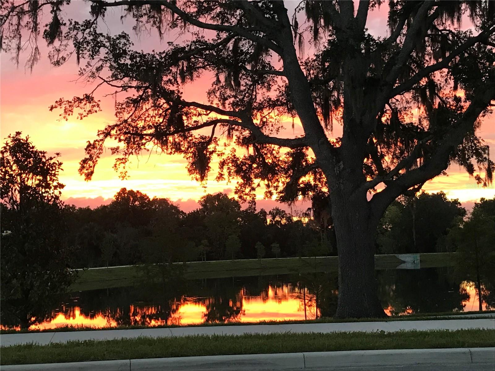 Image 38 of 39 For 310 Wooded Vine Drive