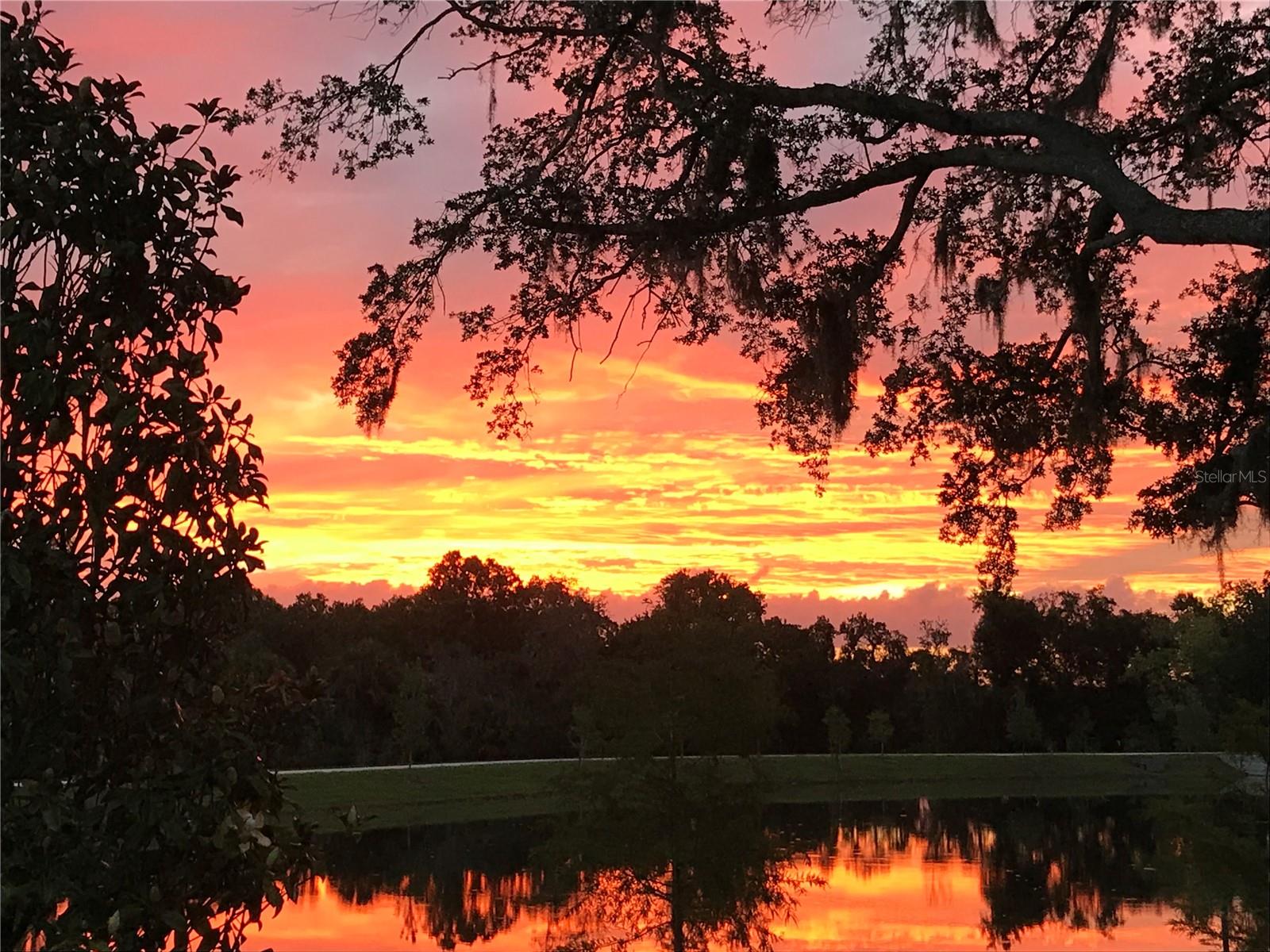 Image 39 of 39 For 310 Wooded Vine Drive