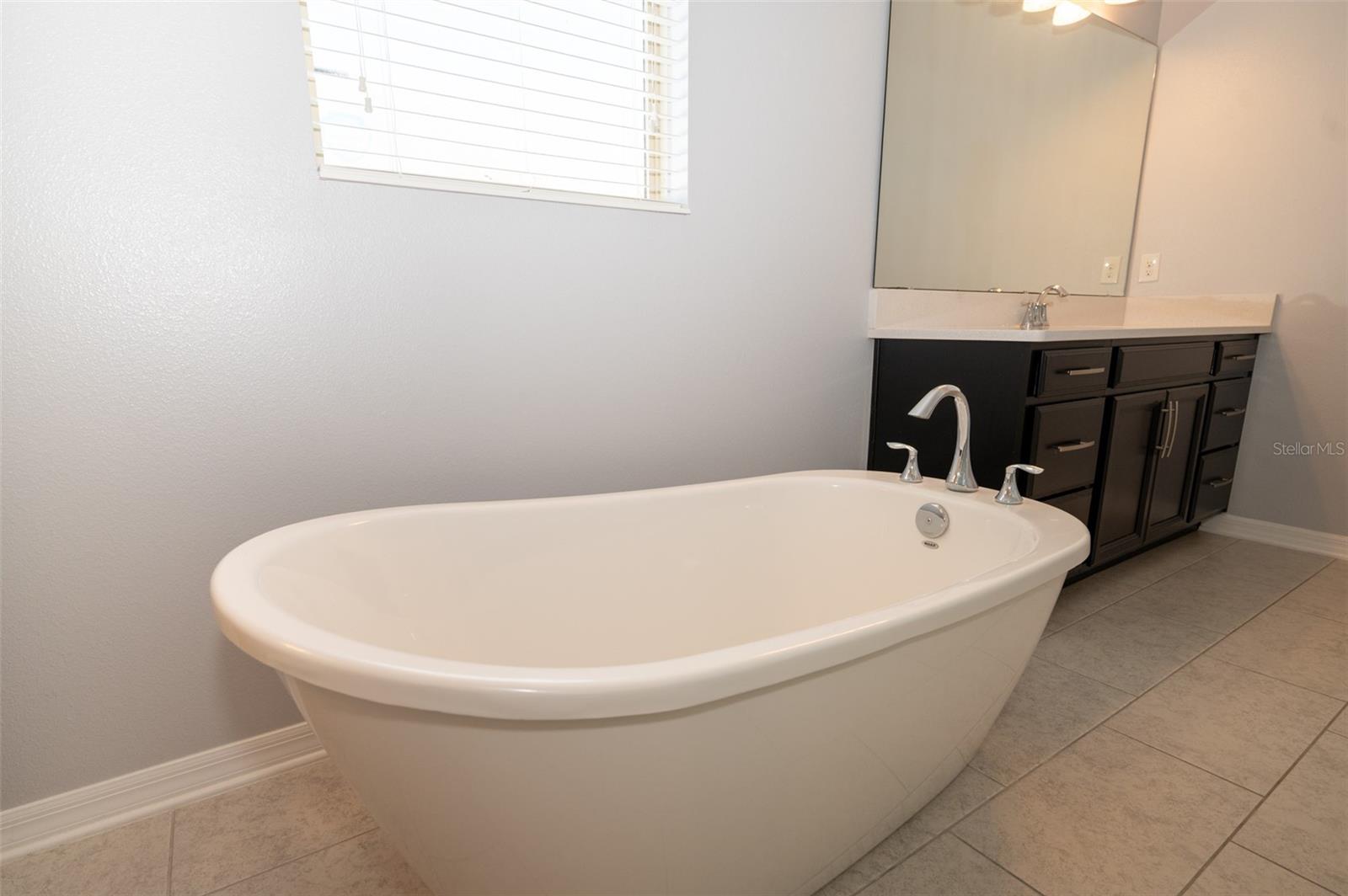 Image 31 of 78 For 869 White Rose Way