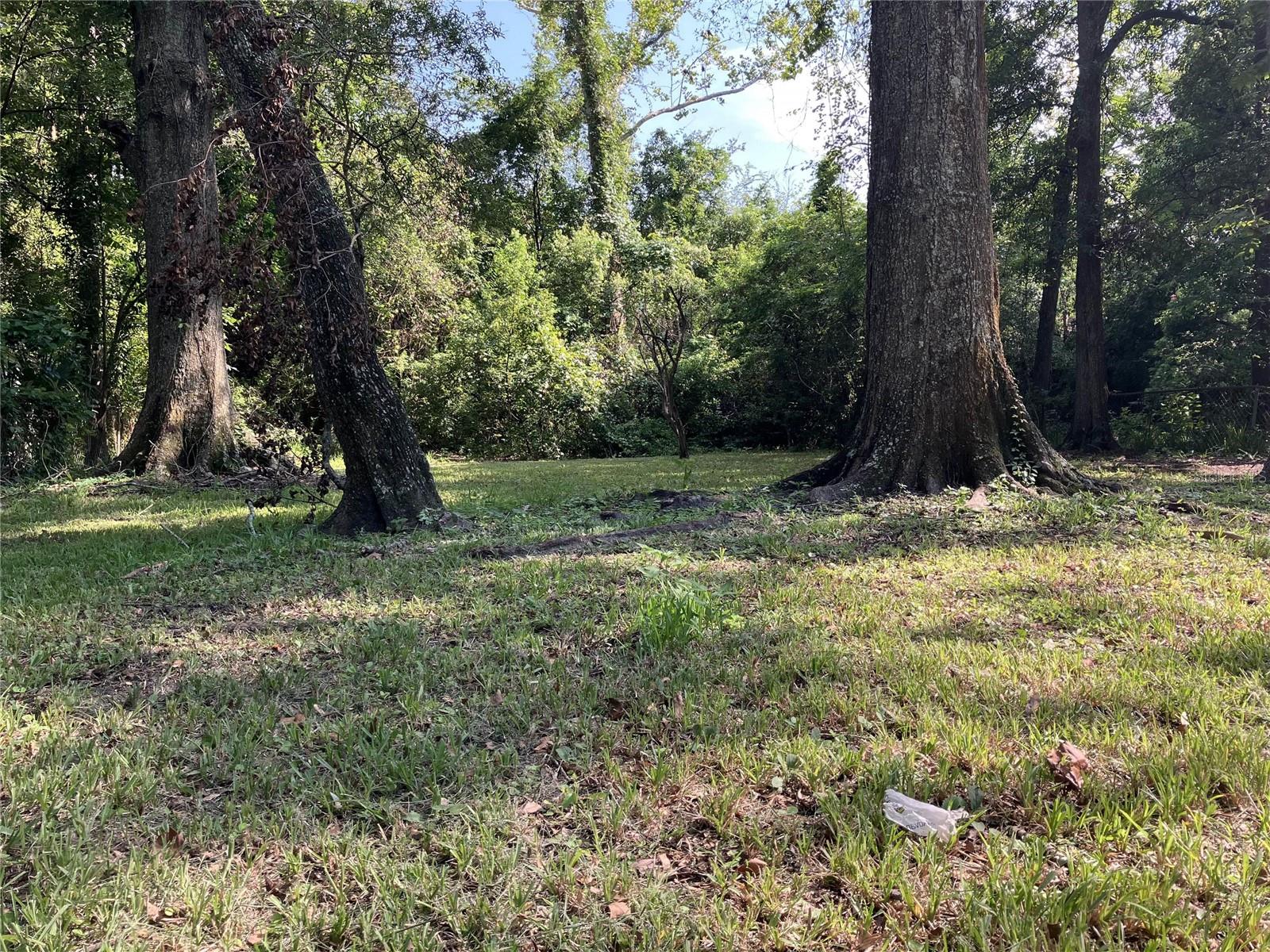 Image 9 of 10 For 2604 Commonwealth Avenue