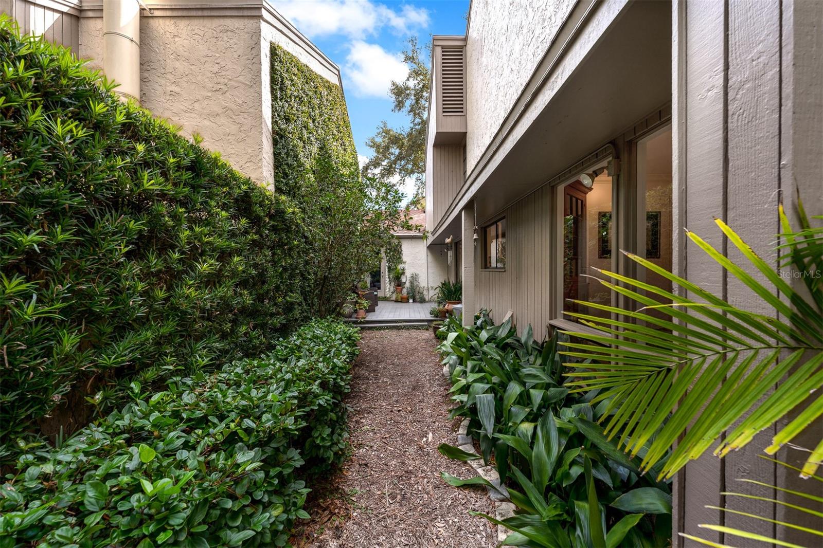 Image 46 of 61 For 203 Weeping Elm Lane