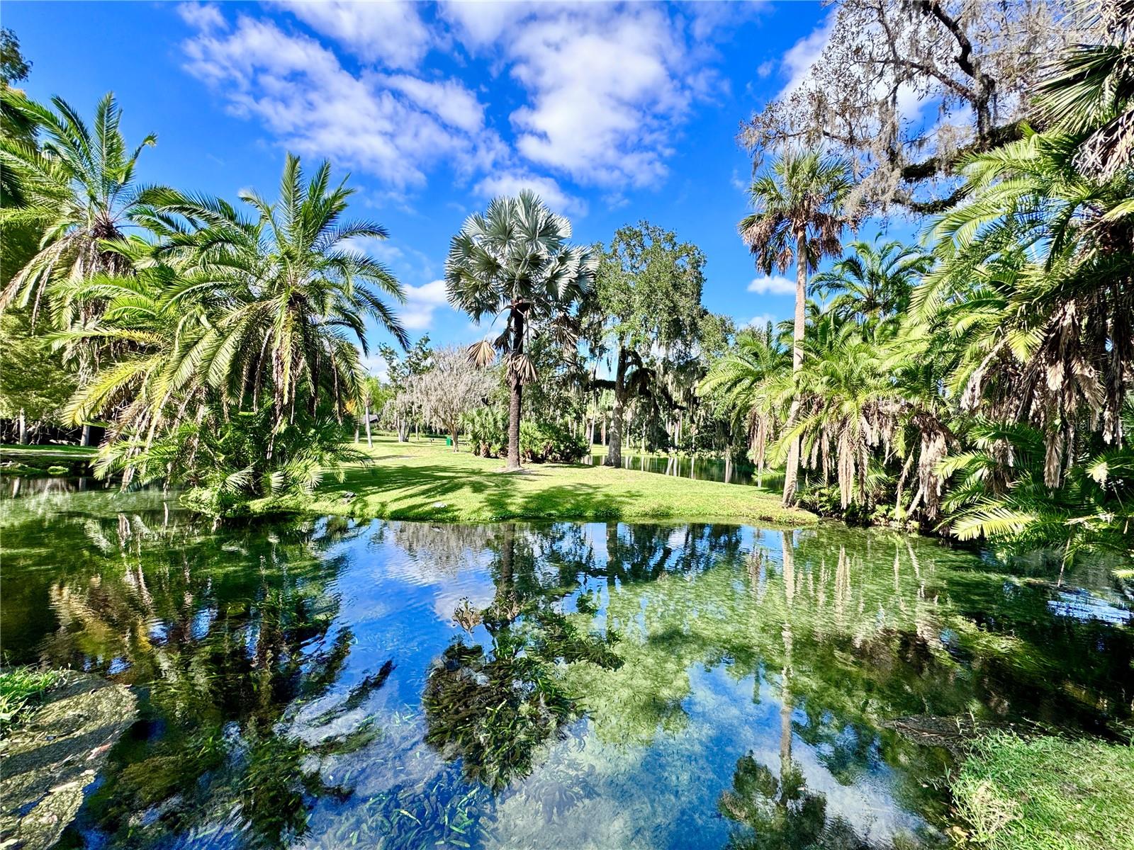 Image 56 of 61 For 203 Weeping Elm Lane