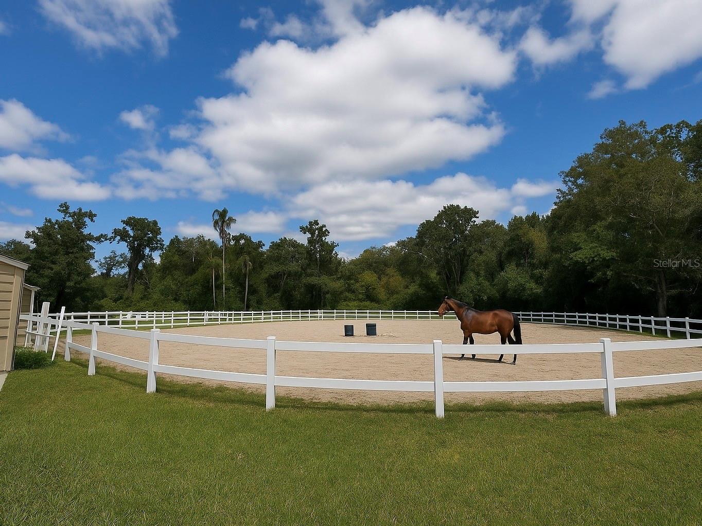 Image 57 of 61 For 203 Weeping Elm Lane