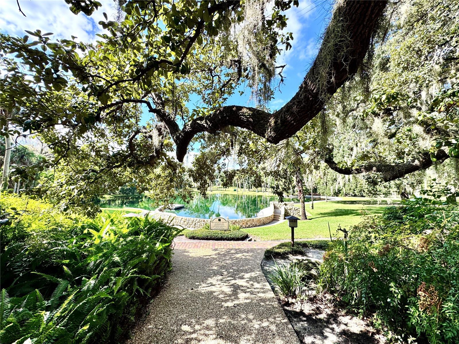 Image 58 of 61 For 203 Weeping Elm Lane