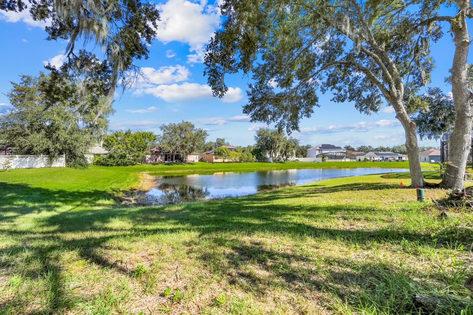 Image 6 of 36 For 206 Redwood Bark Trail