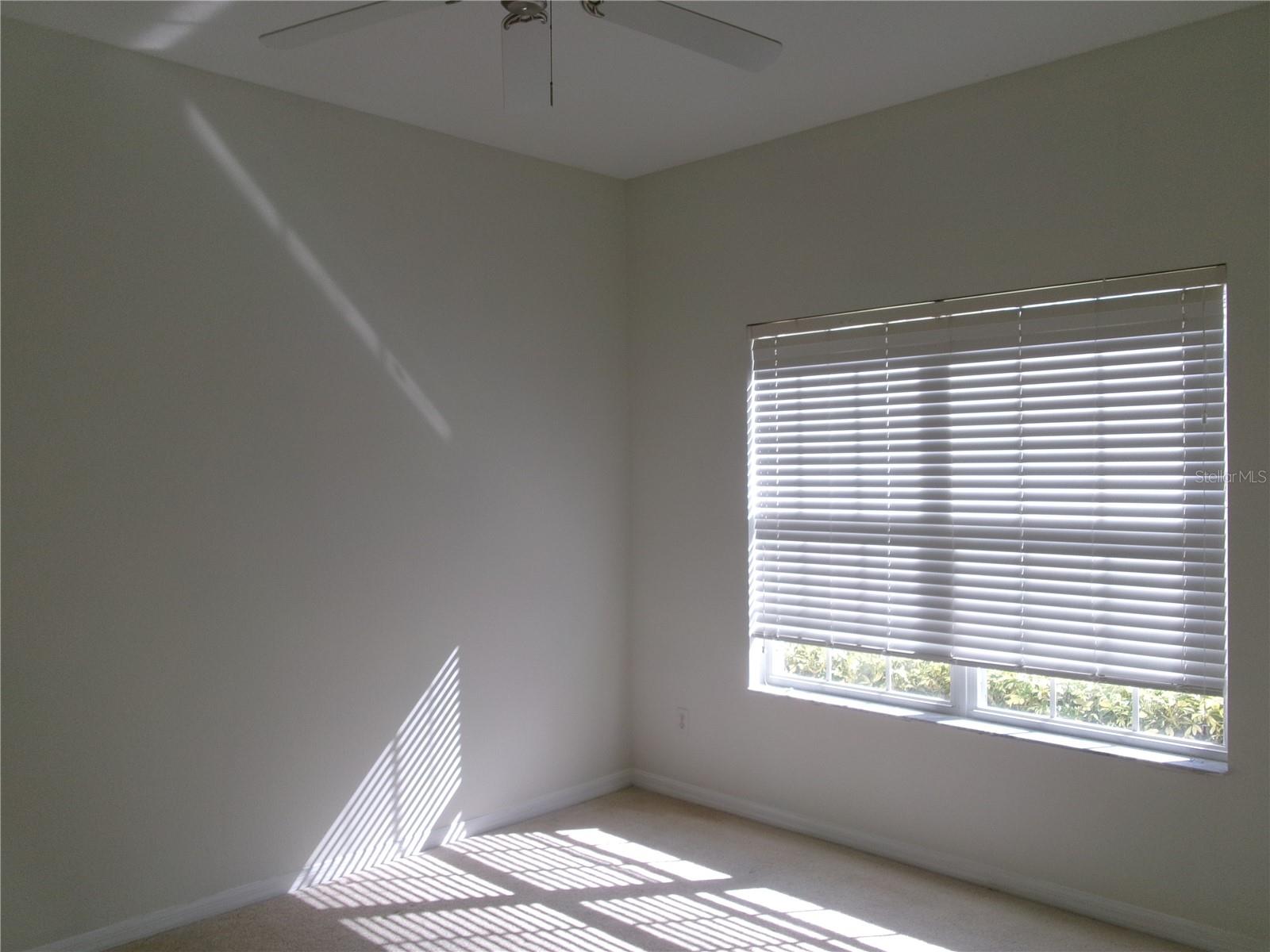 Image 15 of 47 For 8969 Majesty Palm Road