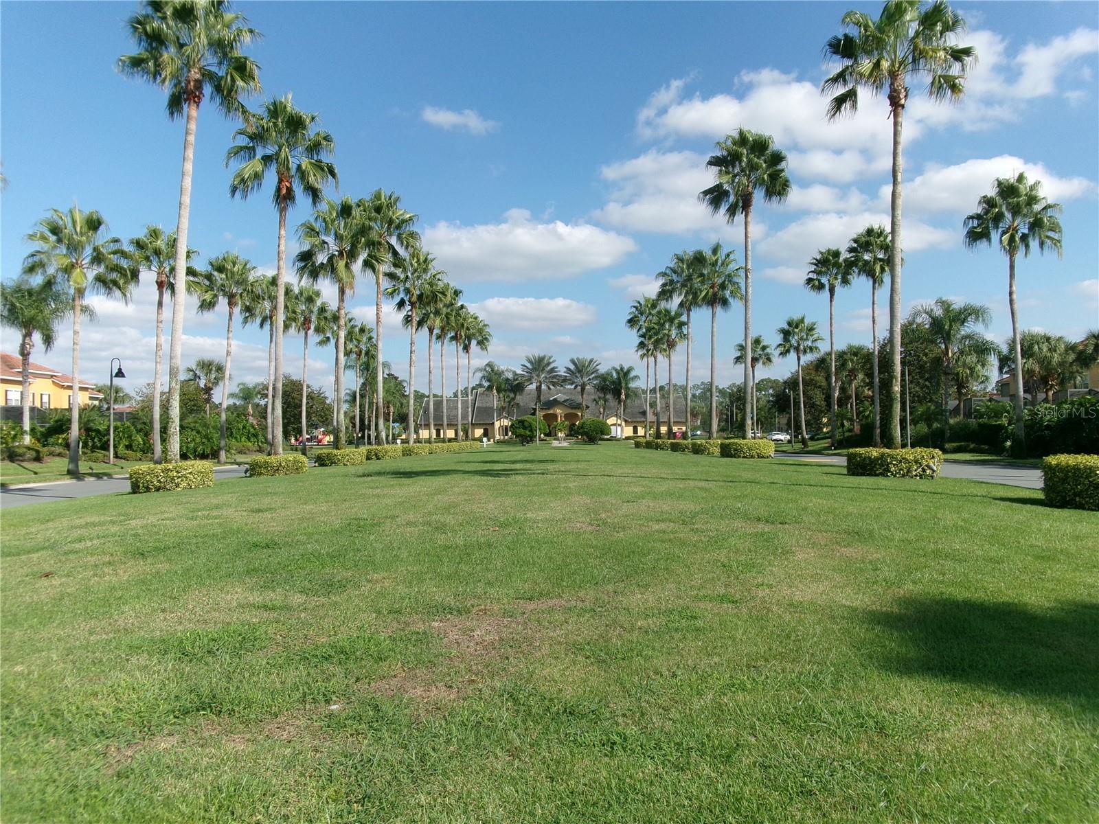 Image 4 of 47 For 8969 Majesty Palm Road