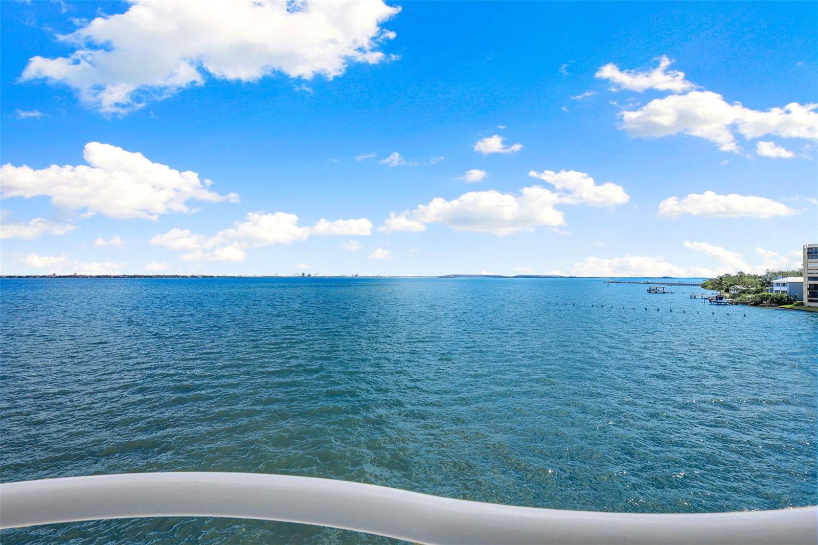 Image 25 of 40 For 4950 Bayshore Boulevard 23