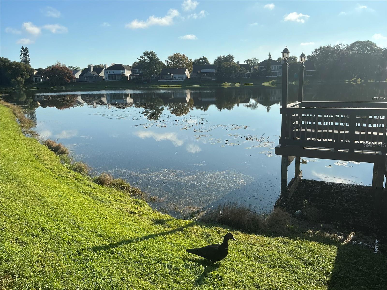 Image 48 of 48 For 715 Sugar Bay Way  107