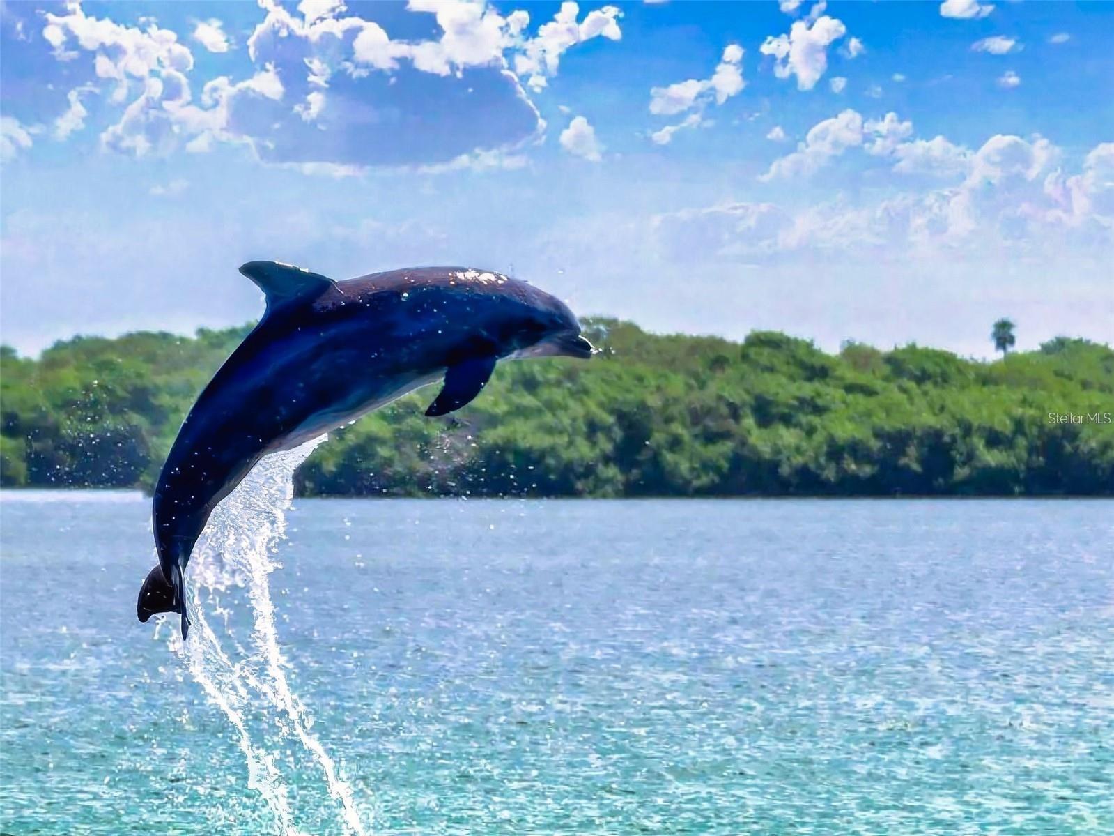 Image 34 of 37 For 438 Bouchelle Drive 105