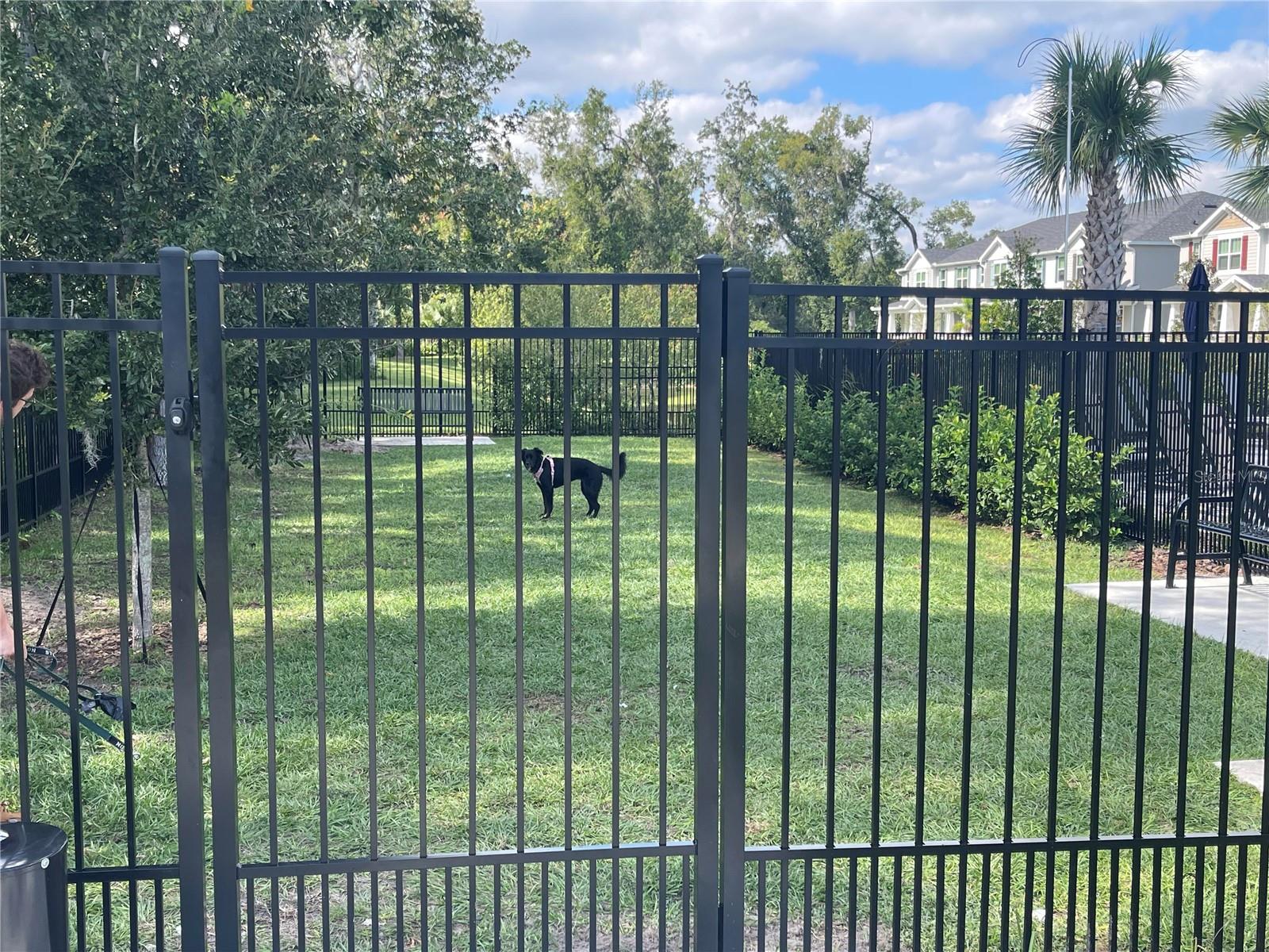 Image 18 of 24 For 1294 Tarflower Drive