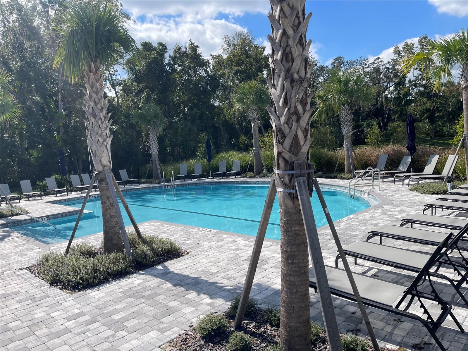 Image 19 of 24 For 1294 Tarflower Drive