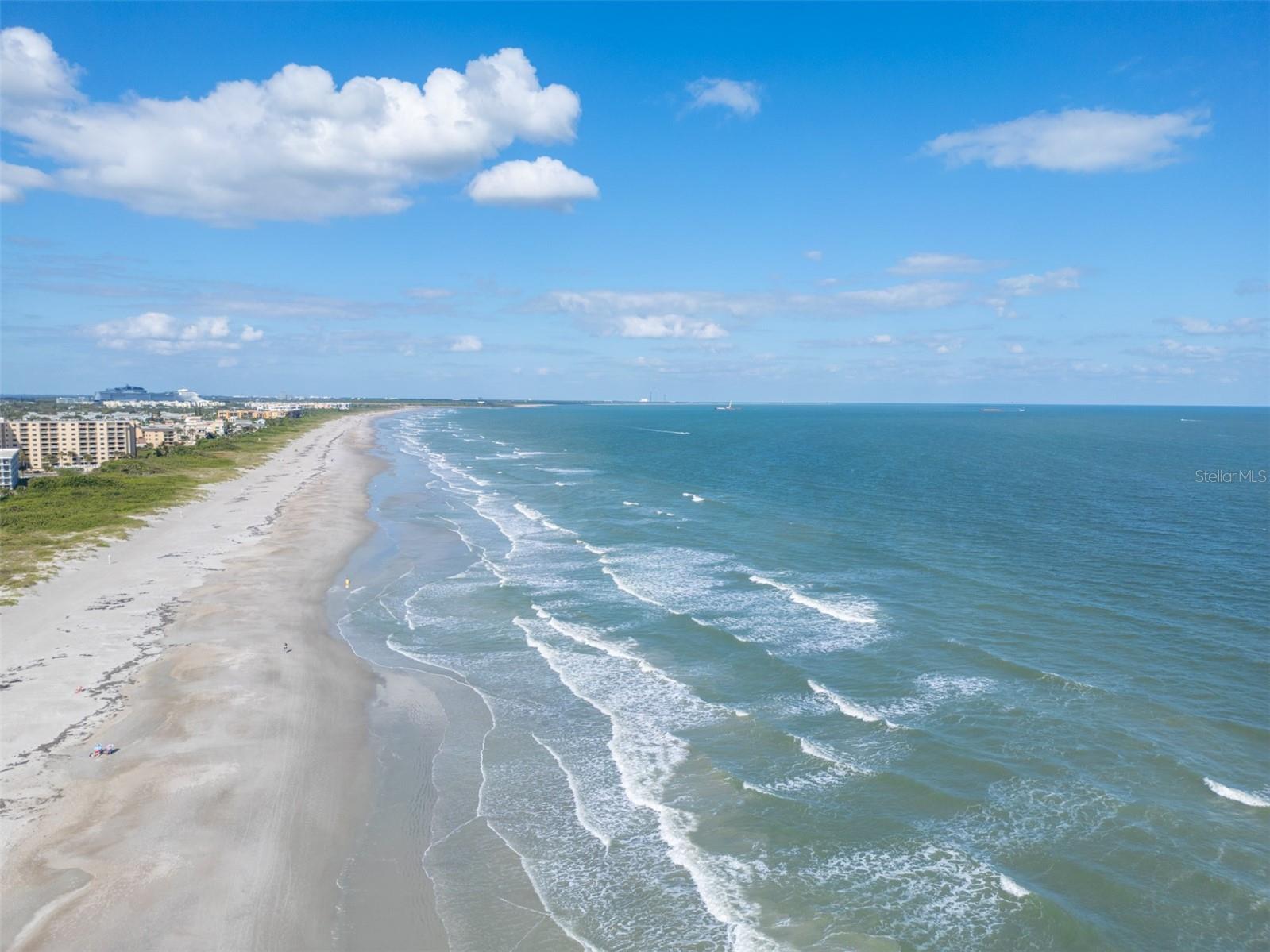 Image 48 of 49 For 425 Buchanan Avenue 201