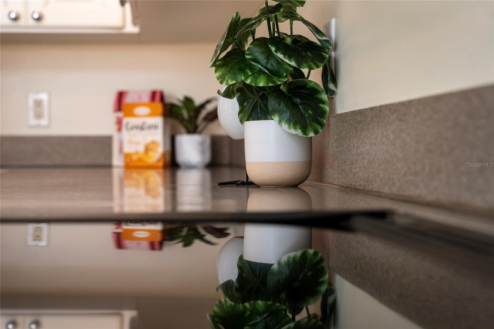 Image 14 of 56 For 11882 Kipper Drive