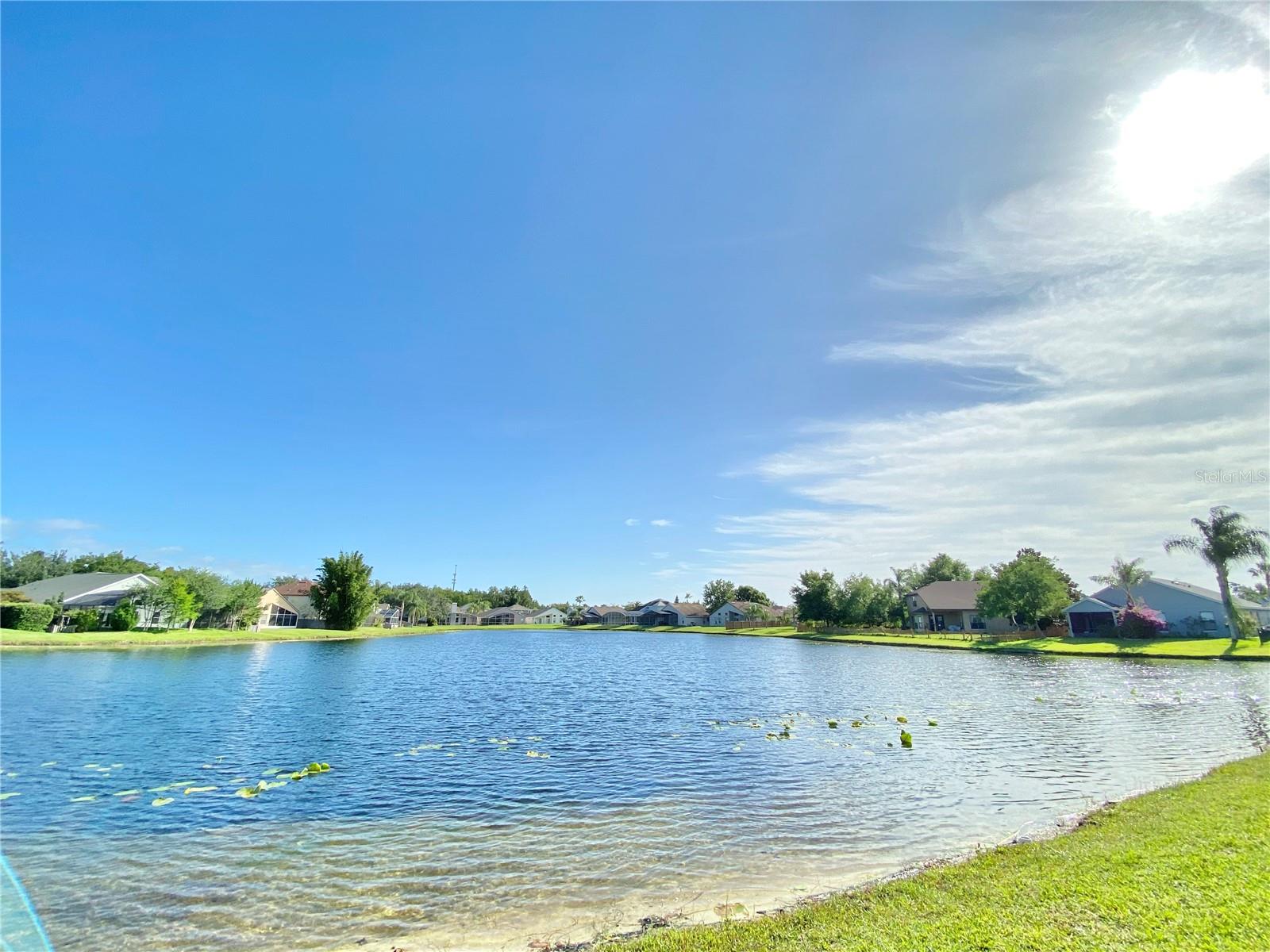 Image 50 of 56 For 513 Hardwood Circle