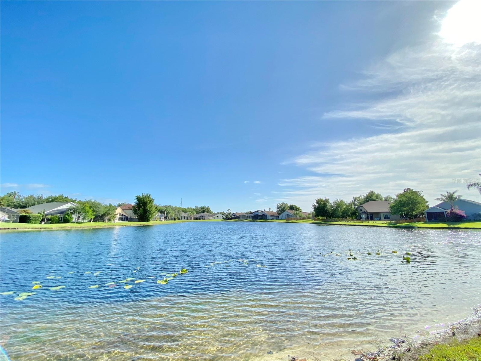 Image 52 of 56 For 513 Hardwood Circle