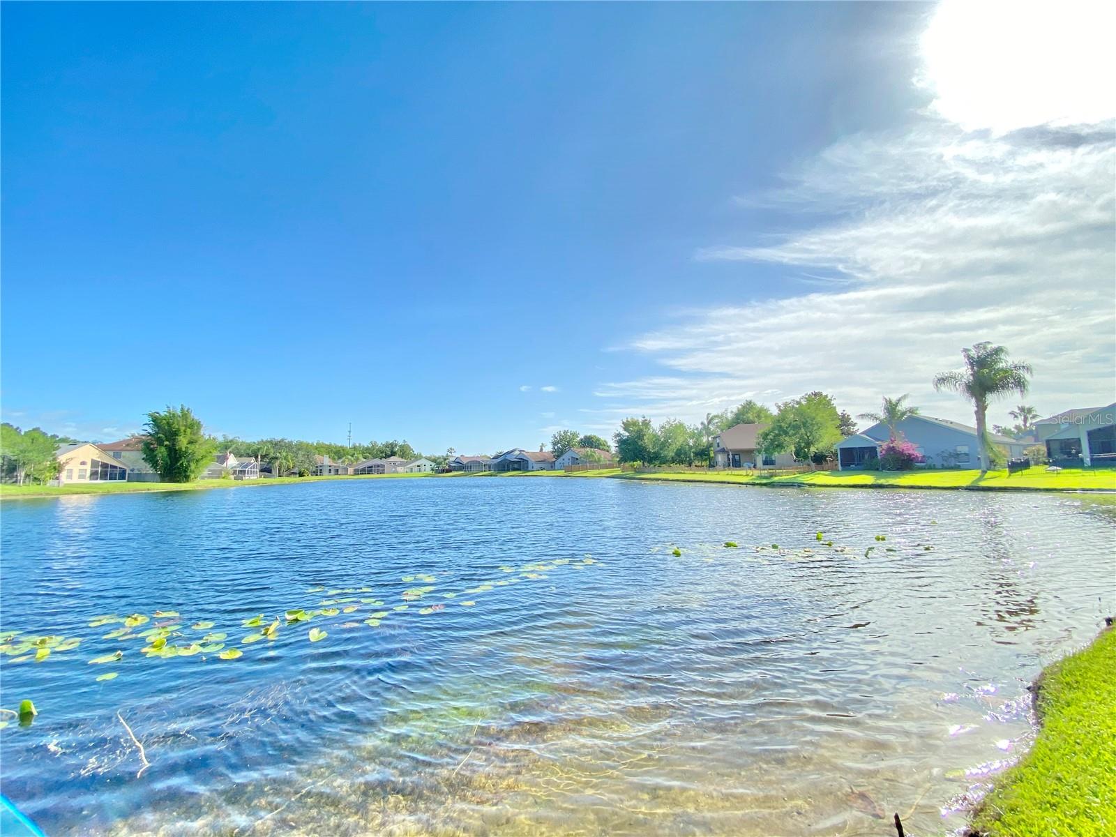 Image 53 of 56 For 513 Hardwood Circle