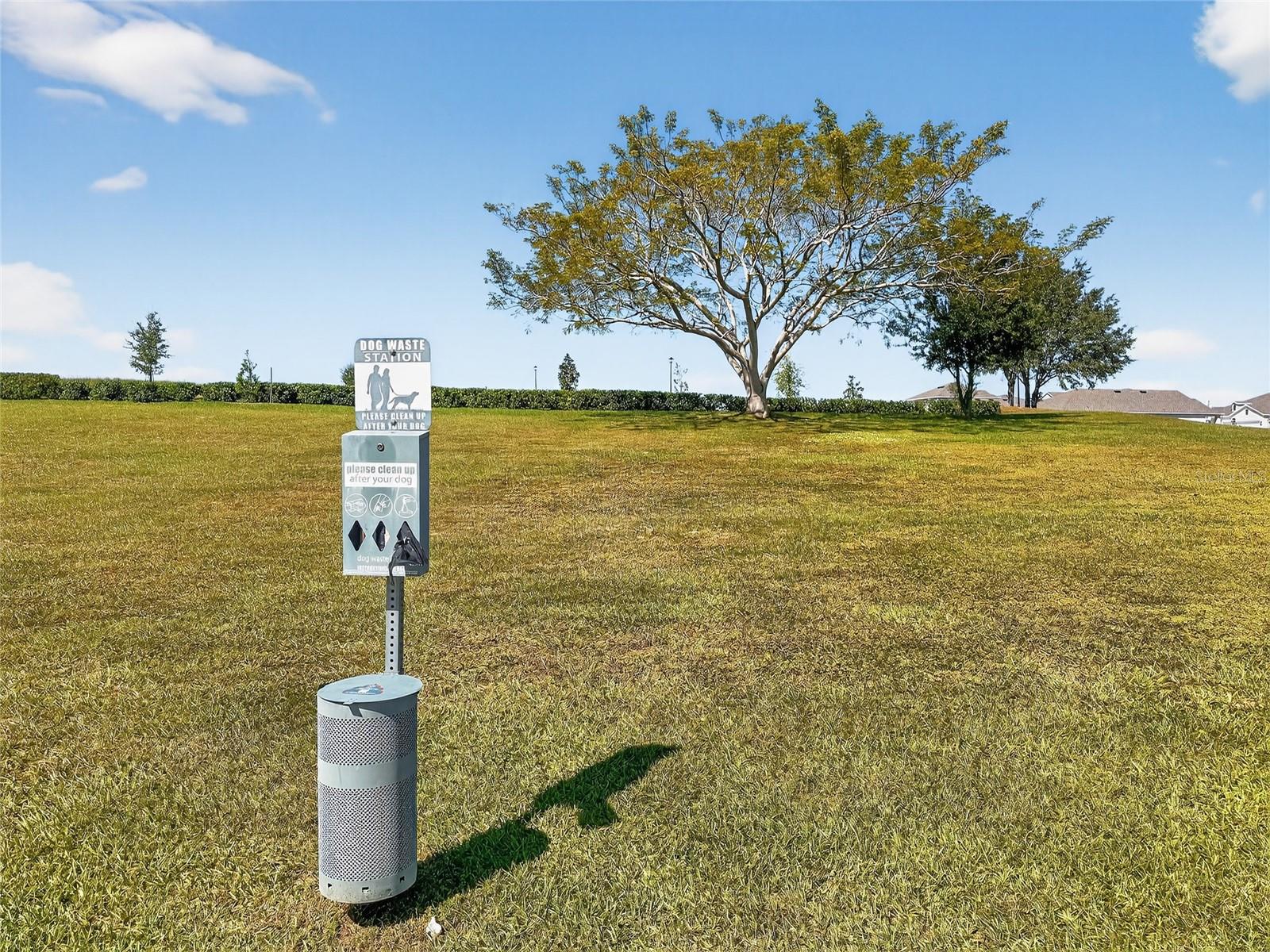 Image 48 of 54 For 848 Carmillion Court