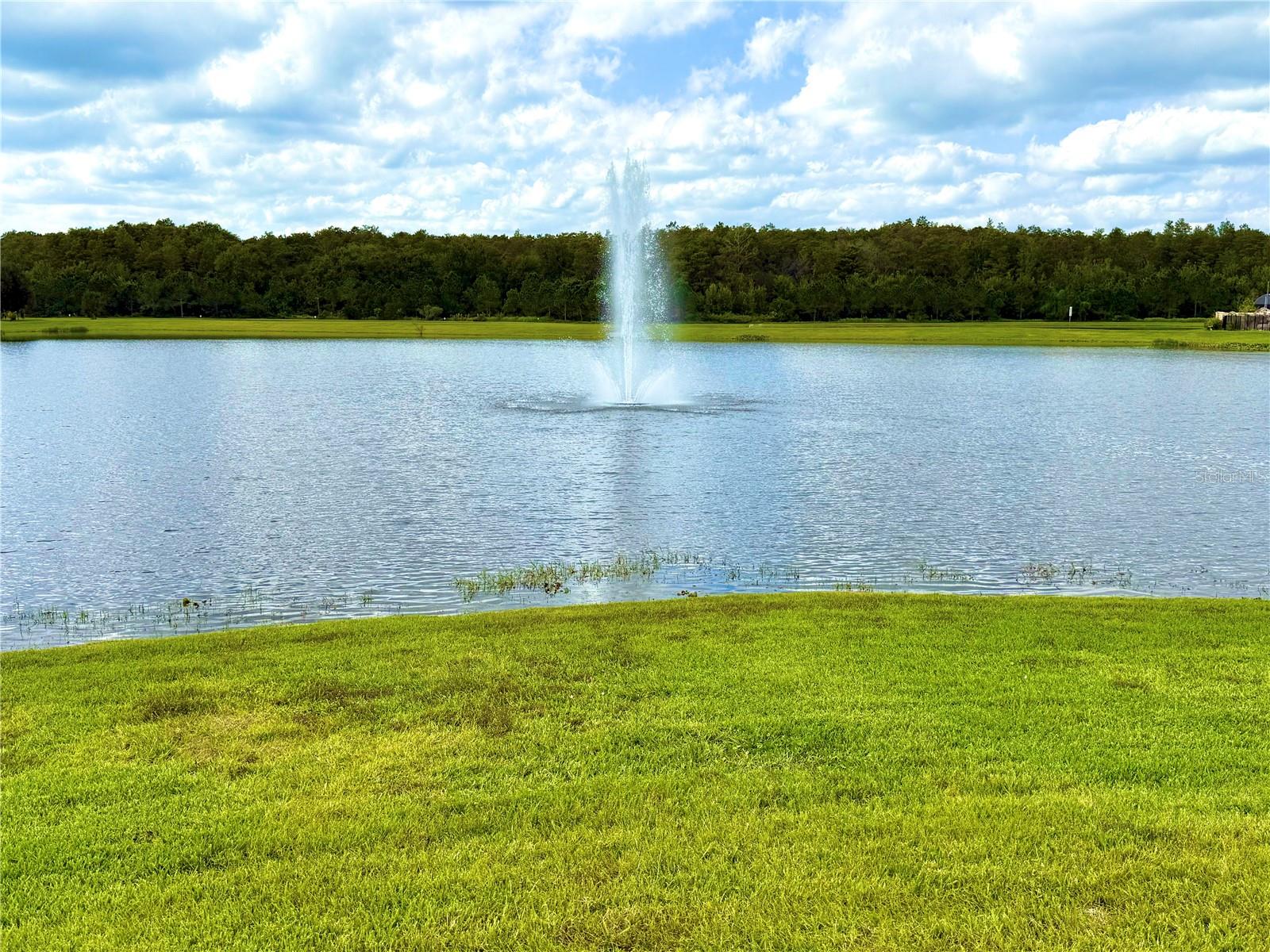 Image 2 of 8 For 2665 San Simeon Way