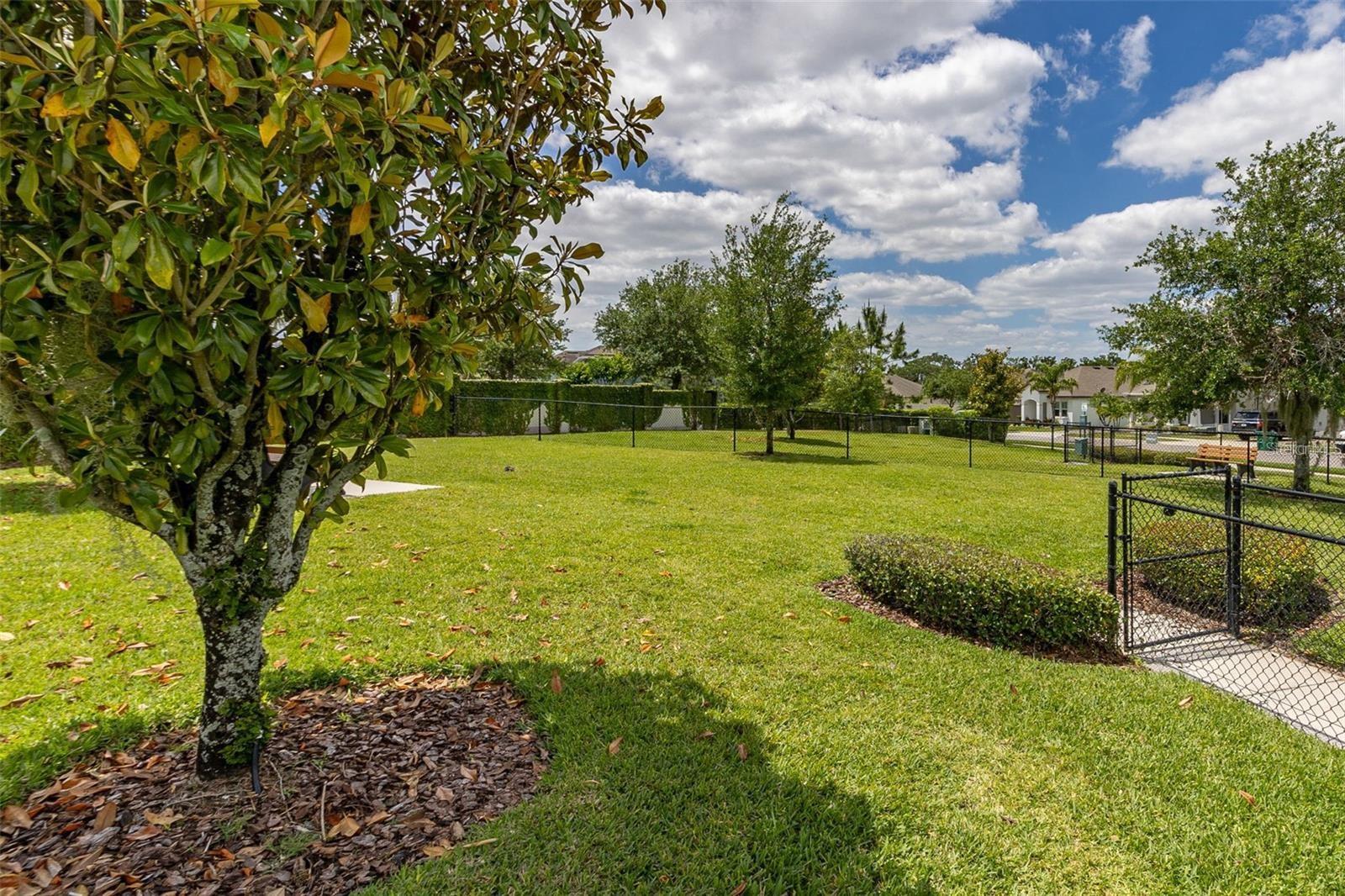 Listing photo id 72 for 15976 Citrus Knoll Drive