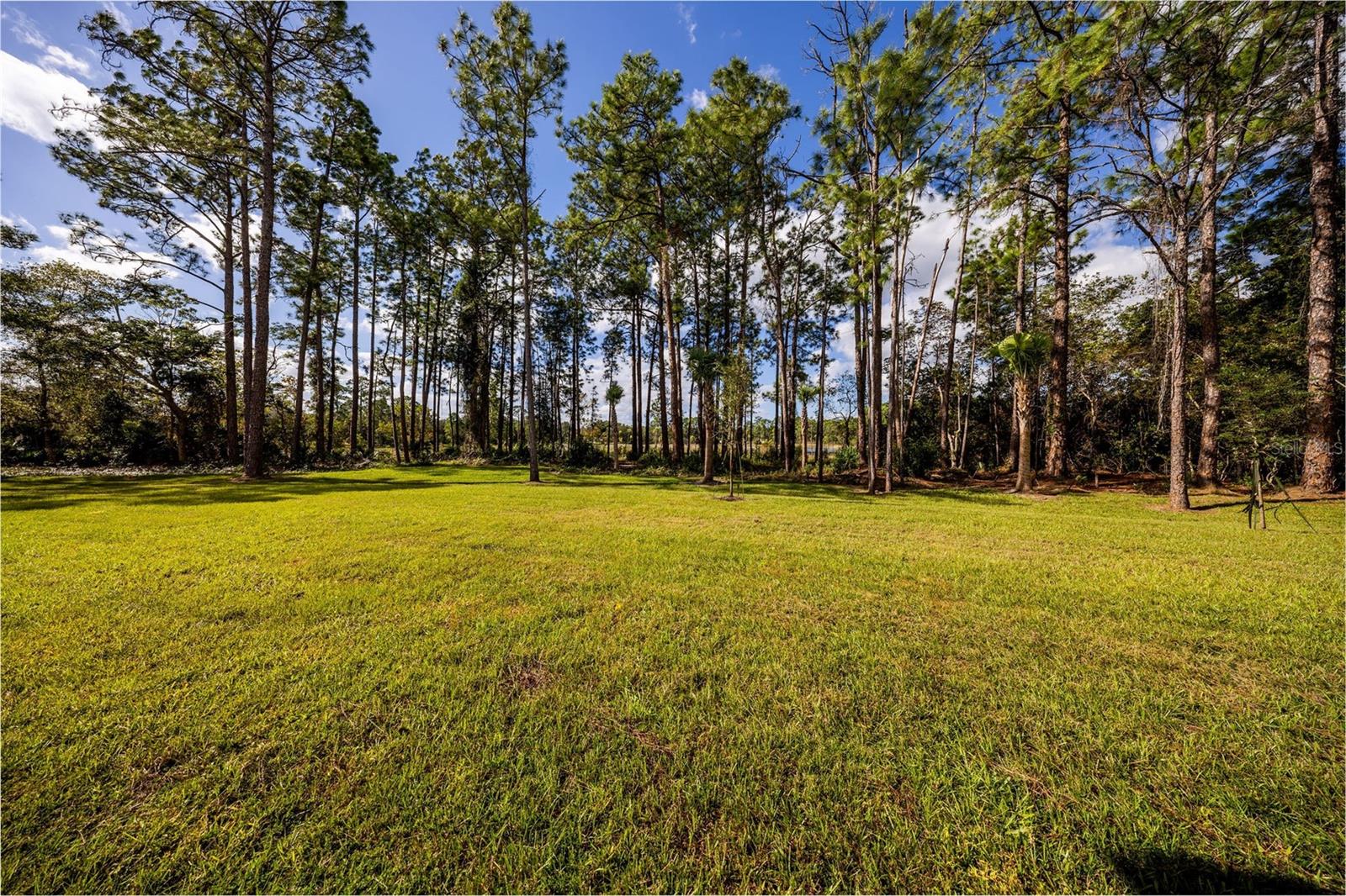 Image 45 of 47 For 310 Mitnik Drive