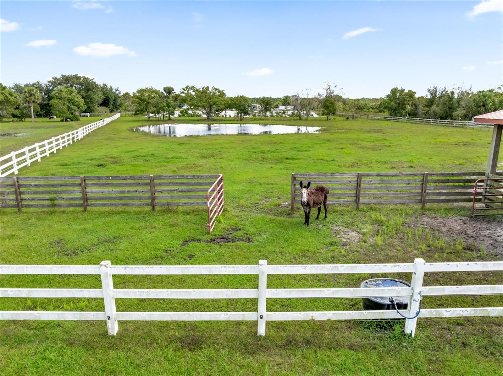 Image 70 of 94 For 620 Willow Pond Lane