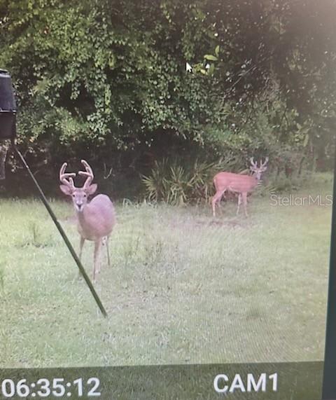 Image 92 of 94 For 620 Willow Pond Lane