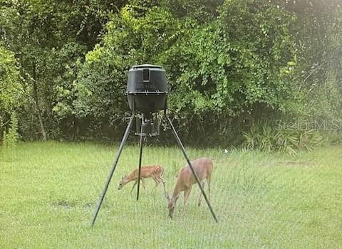 Image 93 of 94 For 620 Willow Pond Lane