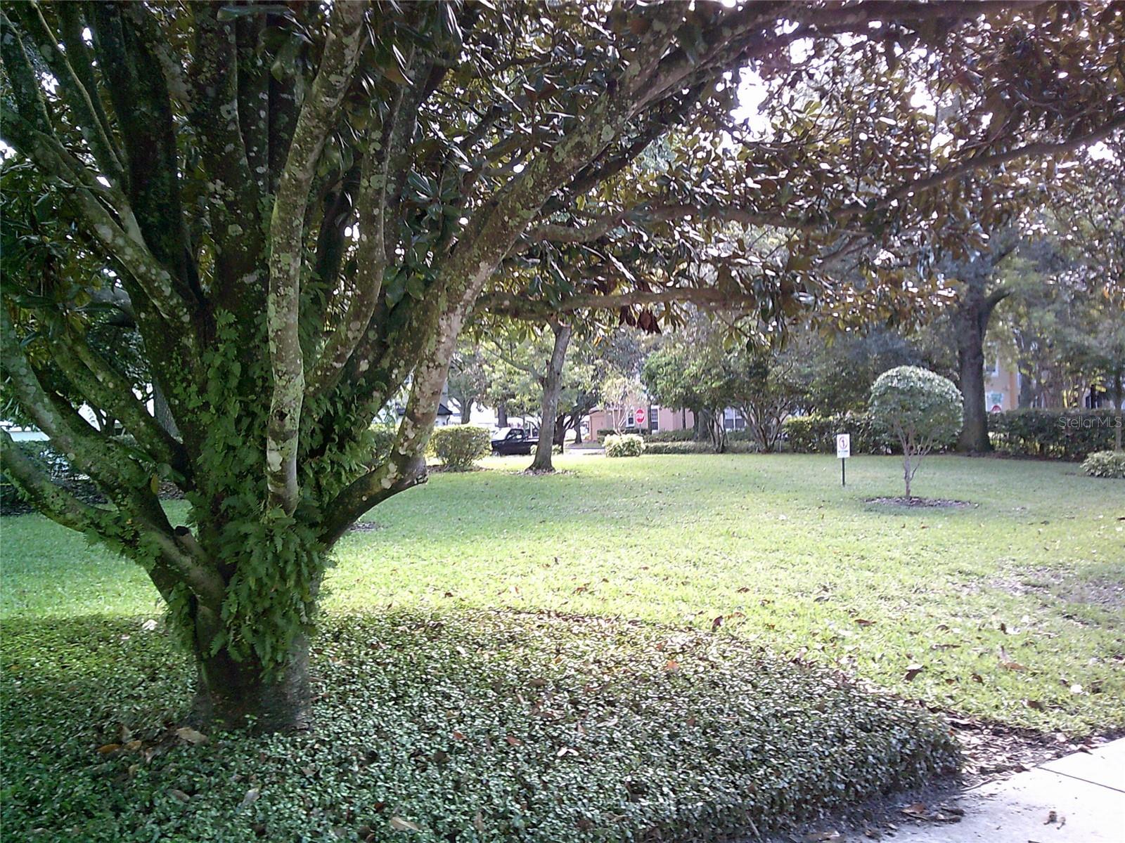 Image 46 of 48 For 6292 Twain Street 107