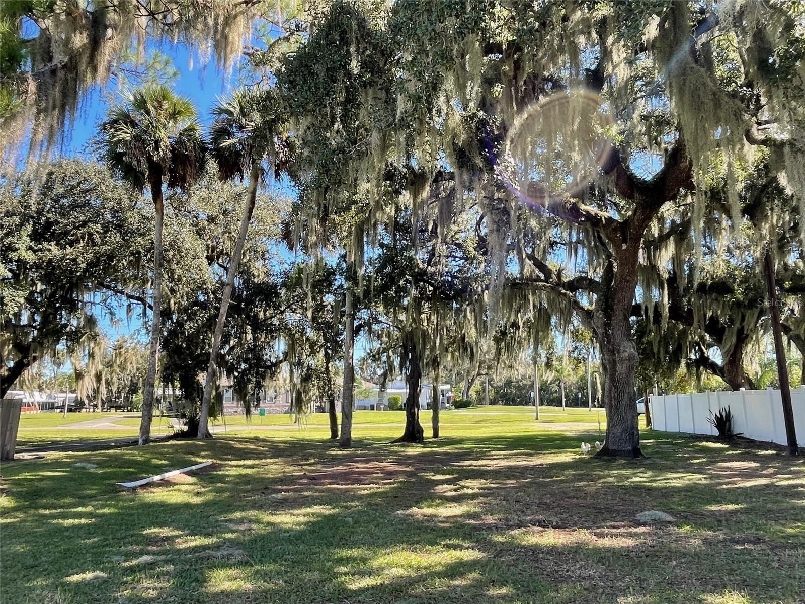 Image 10 of 29 For 2064 Shady Ln.