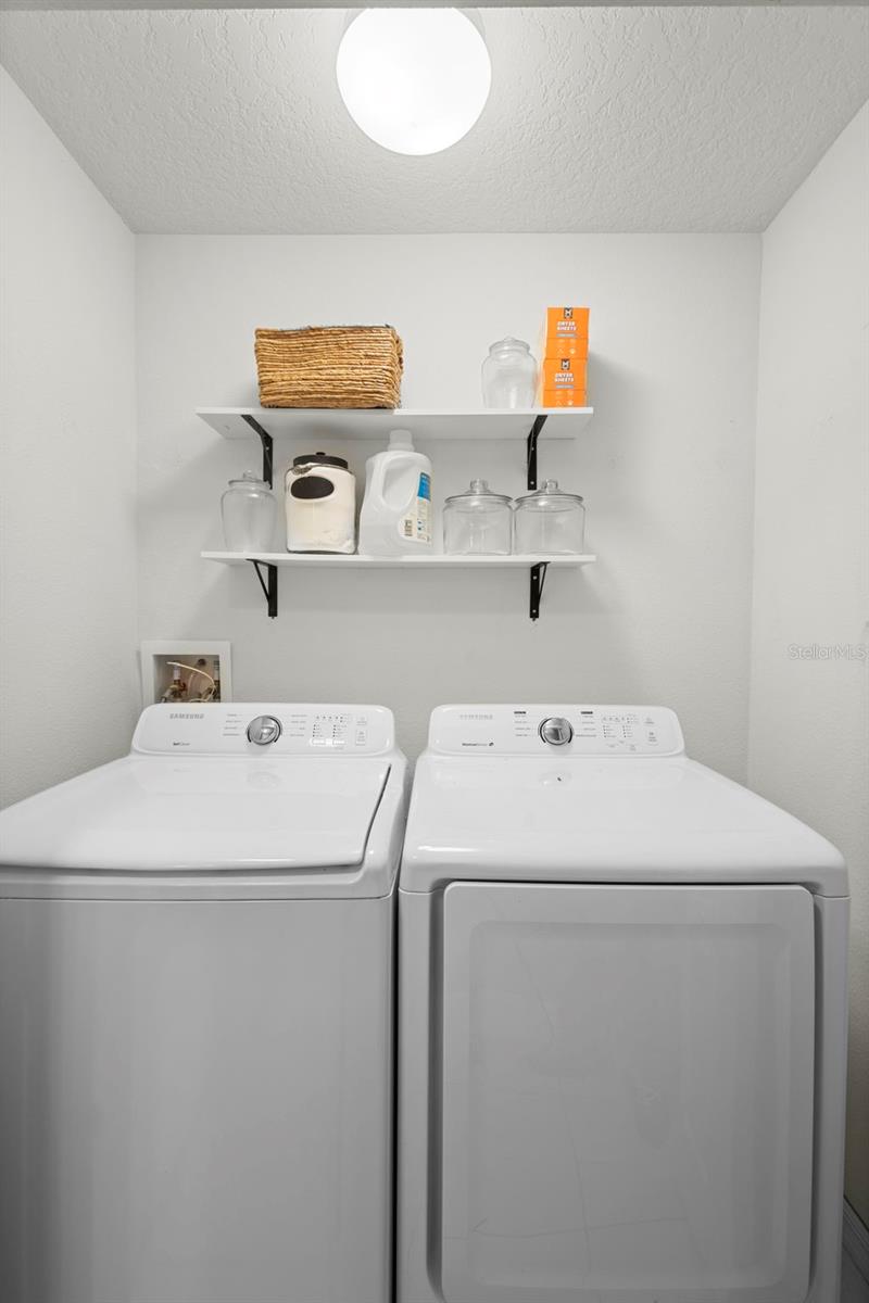 Image 31 of 49 For 10871 Cabbage Tree Loop