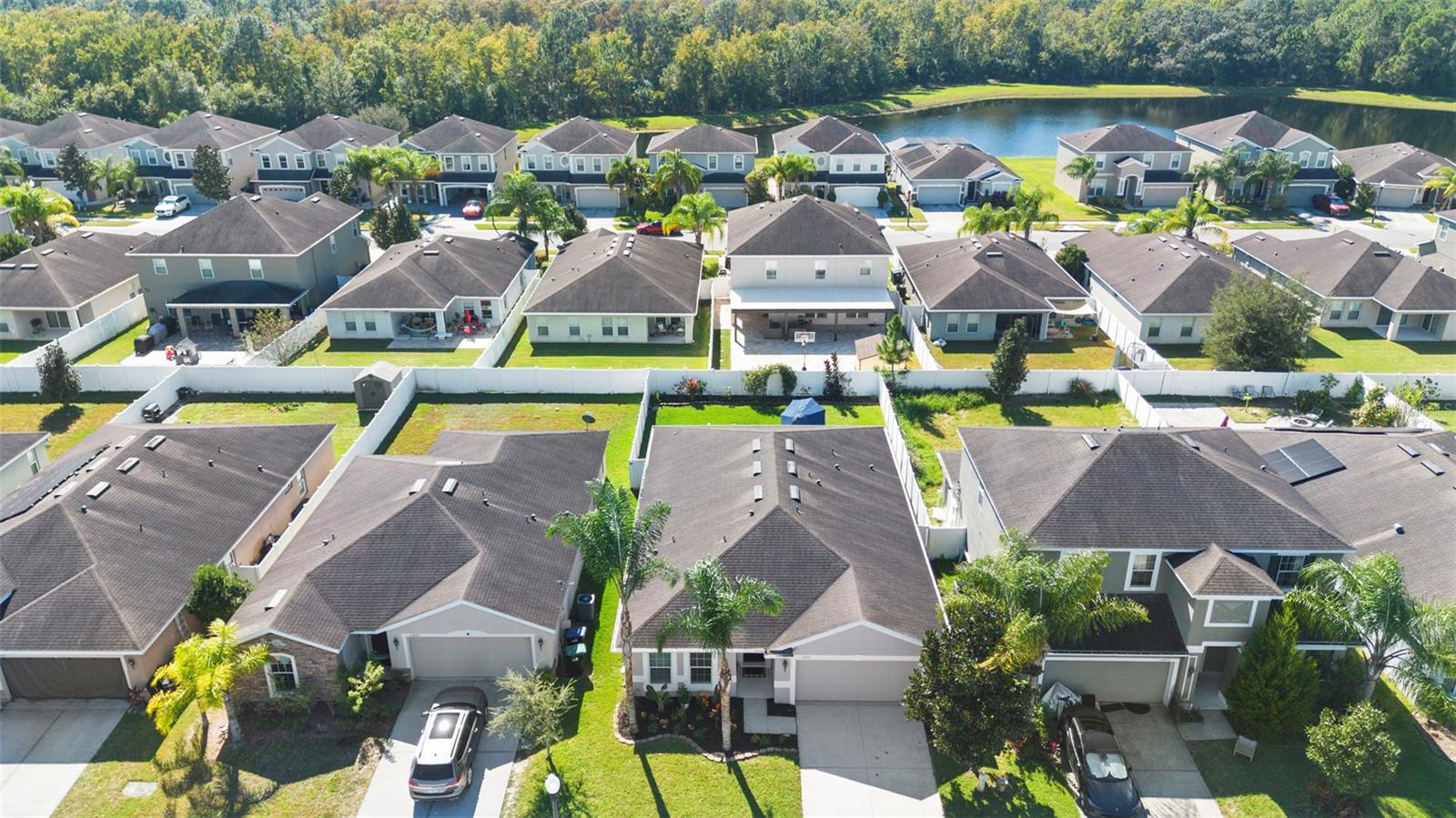 Image 39 of 49 For 10871 Cabbage Tree Loop