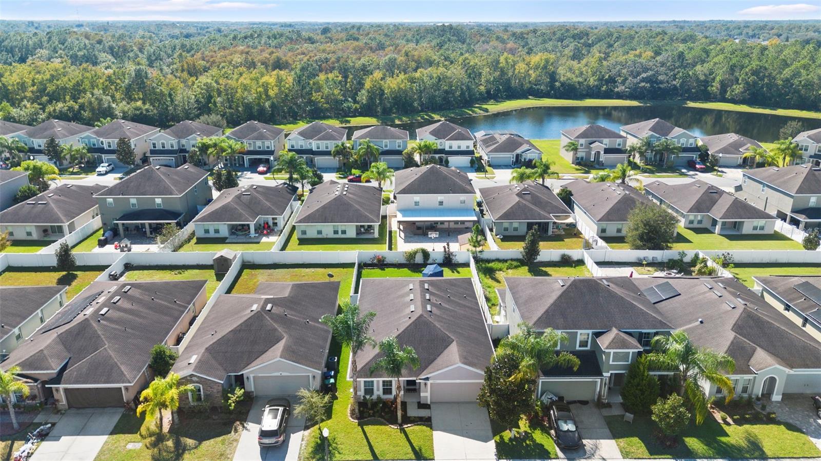 Image 40 of 49 For 10871 Cabbage Tree Loop
