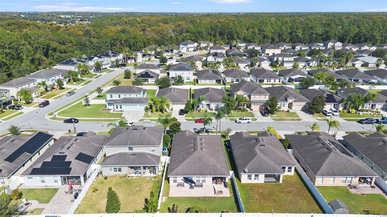 Image 45 of 49 For 10871 Cabbage Tree Loop