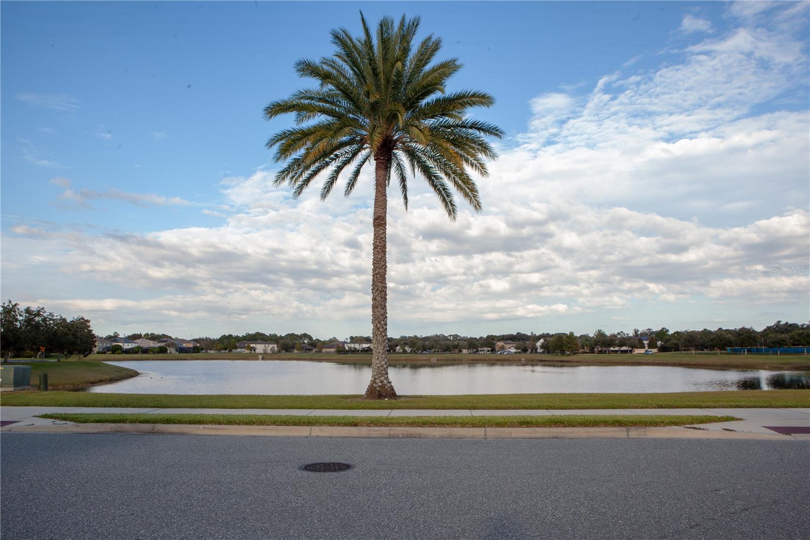 Image 28 of 31 For 2307 Gratia Place