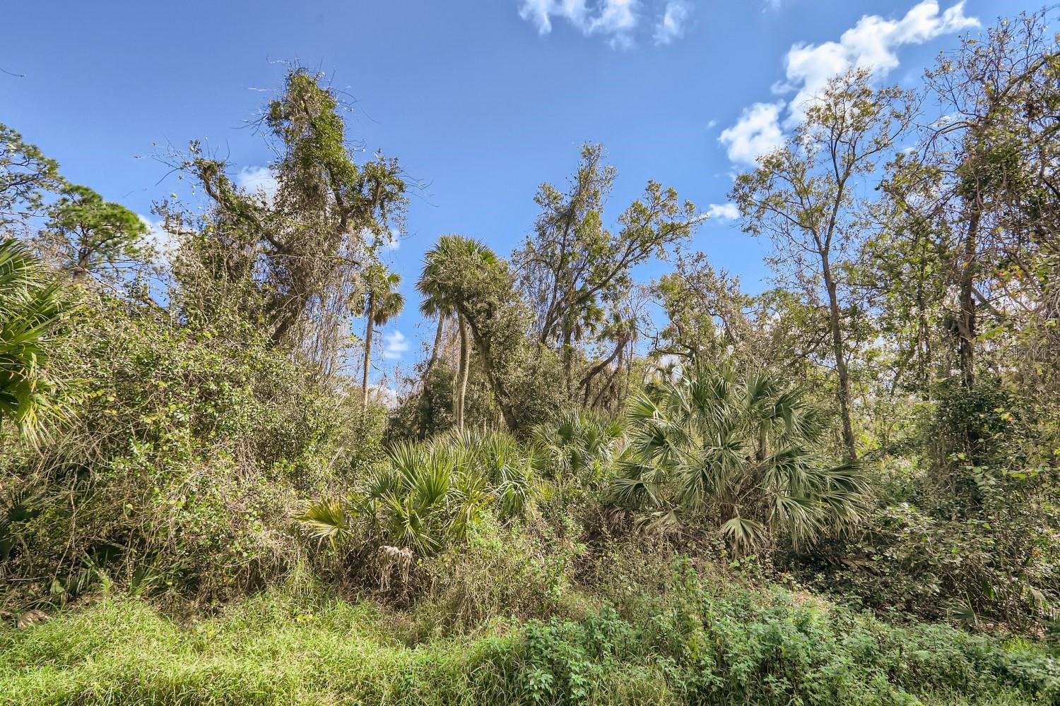 Image 54 of 73 For 8344 Riverdale Lane