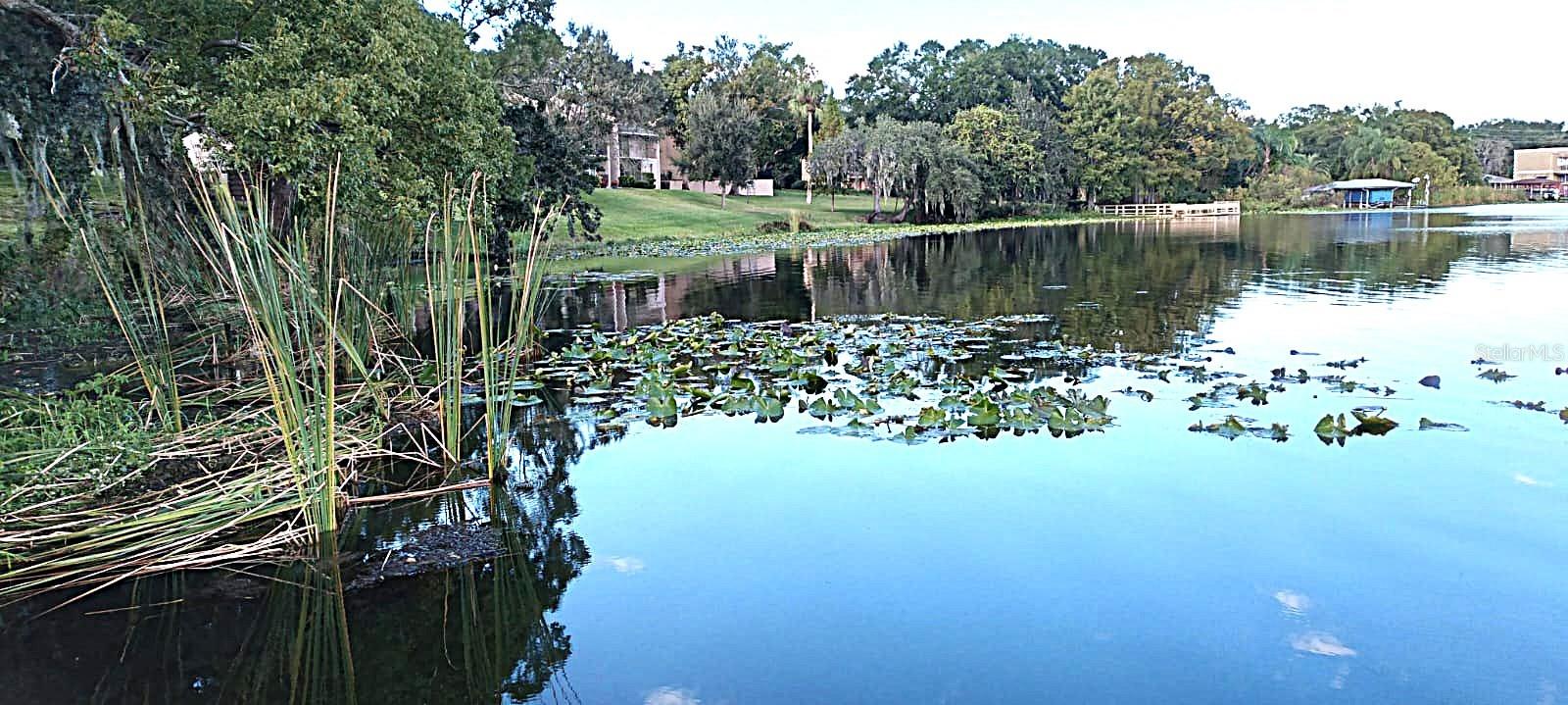 Image 31 of 32 For 824 Town Circle 101