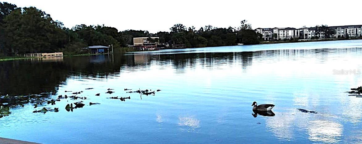 Image 32 of 32 For 824 Town Circle 101