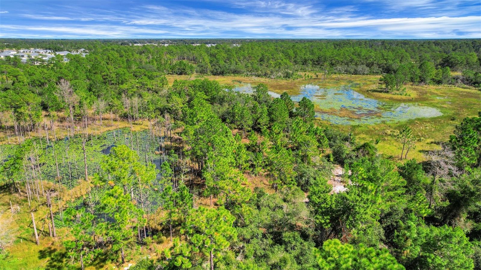 Image 6 of 38 For 1530 Scrub Jay Court