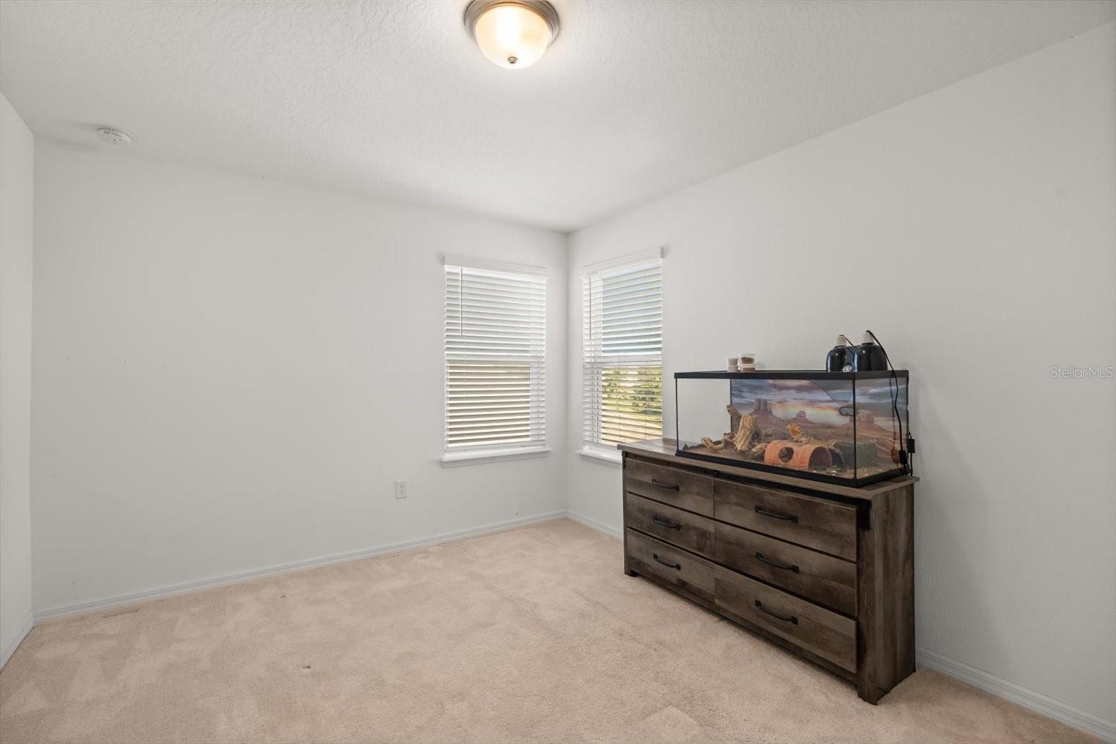 Image 28 of 34 For 3447 Feathergrass Court