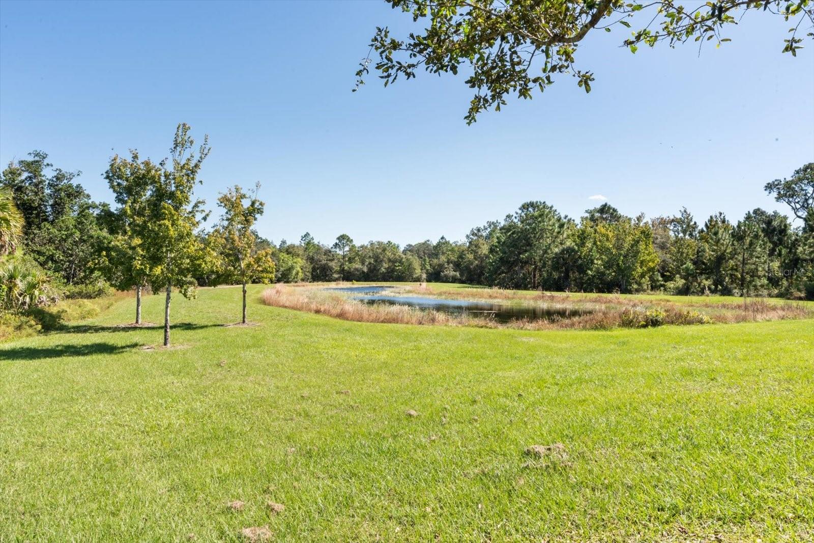 Image 33 of 34 For 3447 Feathergrass Court