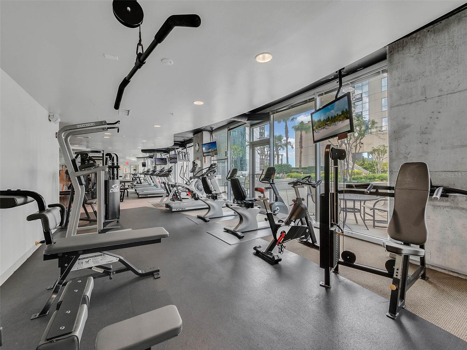 Image 65 of 79 For 155 Court Avenue P-2901