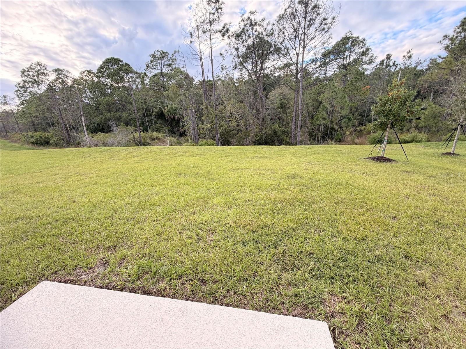 Image 26 of 29 For 4718 Yellow Elder Way